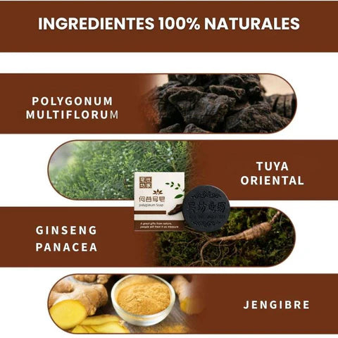 🌿SHAMPOO CAPILAR EN BARRA X 2 🌿 ⭐¡Detén la Caída del Cabello y Recupera una Melena Más Fuerte, Abundante y Saludable de Forma Natural!⭐